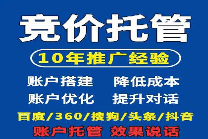 SEM托管公司案例分析：实战技巧全解析